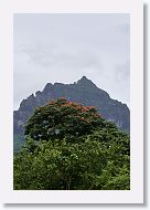 07-Moorea-049