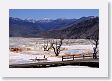 Mammoth Hot Springs