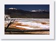 Mammoth Hot Springs