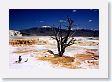 Mammoth Hot Springs