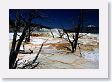 Mammoth Hot Springs