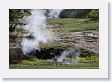 Norris Geyser Basin