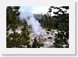 Steamboat Geyser at Norris Geyser Basin