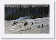 Norris Geyser Basin