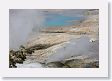 Norris Geyser Basin