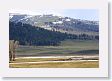 Lamar Valley at Specimen Ridge