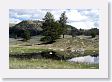 West end of Lamar Valley