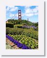 Golden Gate Bridge.