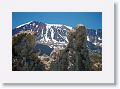 These tufa towers are calcium-carbonate spires and knobs formed by the interaction of freshwater springs and alkaline lake water (pH > 10).