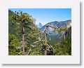 Half Dome from Tunnel View.